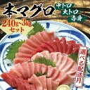 本マグロ 養殖 トロ＆赤身セット 500g 生臭さが抑えられたじゃばらまぐろ