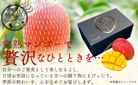 ＜宮崎県産 完熟マンゴー 2L 合計2玉＞入金確認後、2025年7月初旬迄に順次出荷【選べる 大きさ サイズ 国産 かんじゅく とろける 果物 果実 フルーツ 南国 芳醇 甘い 旬 濃厚 贈り物 プレ