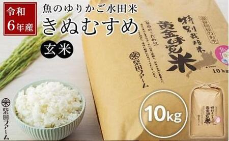 数量限定 令和6年産（新米）滋賀県認証！ 魚のゆりかご水田米 「きぬむすめ」玄米 10kg【柴田ファーム】