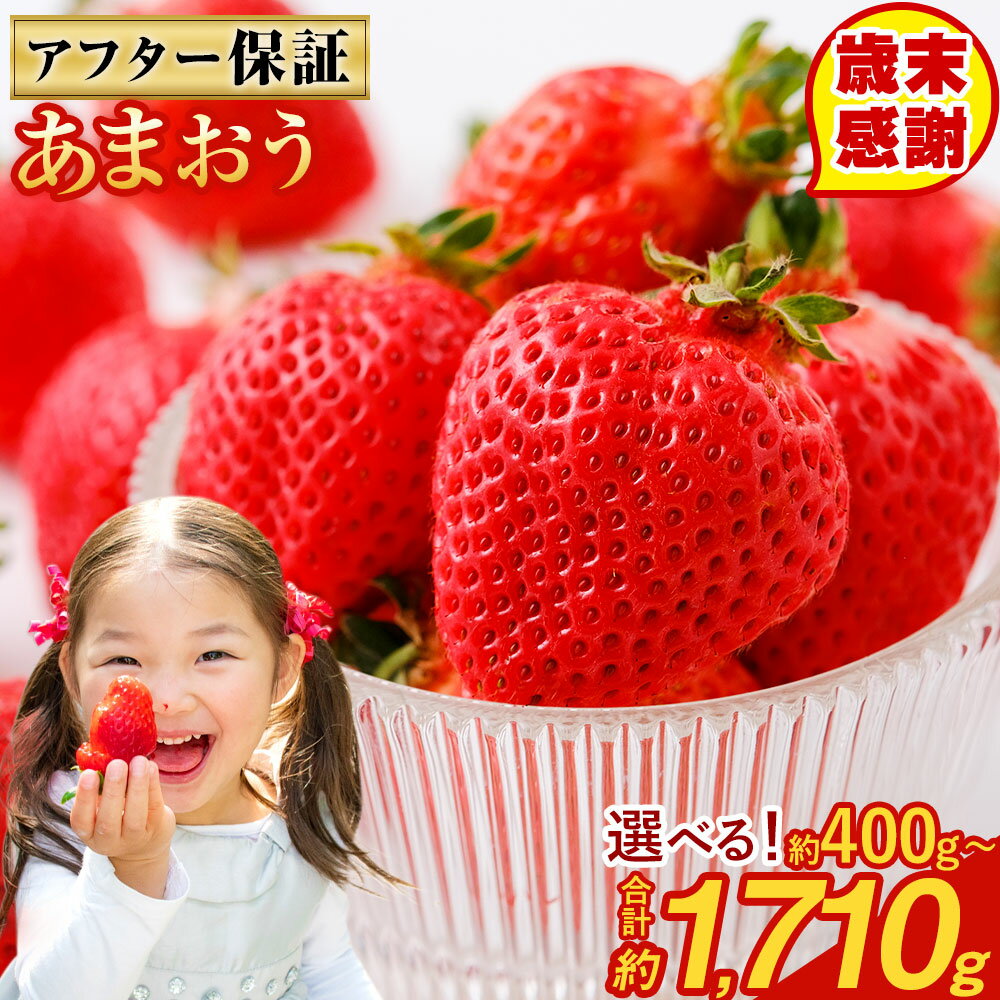 【ふるさと納税】★1パック追加★予約 【TVで紹介！】【特別栽培/有機質肥料/アフター保証】 あまおう ＜選べる 種類・容量＞ 約400g～合計約1710g デラックス/エクセレントサイズなど【2025年12月上旬又は2026年1月上旬～4月上旬発送予定】 いちご 苺 送料無料