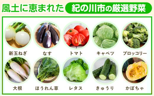 【6ヶ月定期便】の恵み旬のフルーツ＆野菜セット計8~10品《お申込み月翌月から出荷開始》フルーツ果物野菜セット桃梅みかん---wfn_cvgs1tei_23_60000_mo6num1---