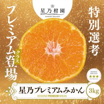 
            ＜三つ星ブランド＞星乃みかんプレミアムシリーズ(3kg)＜C45-94＞【1625778】
          