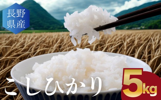 
                  こしひかり 白米 5kg │ 信州 松本市 米 お米 コシヒカリ こしひかり アルプス 国産米 長野県産 おすすめ 白米 ふっくら 農家 ふるさと納税 松本市 美味しい
                