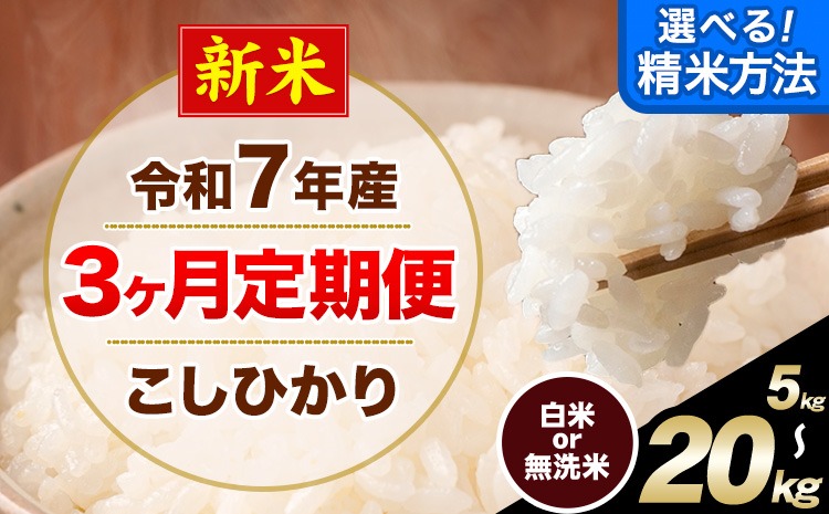 【3ヶ月定期便】新米 令和7年産 無洗米 も 選べる 定期便 こしひかり 白米 or 無洗米 選べる精米方法 定期便 内容量 5kg 10kg 15kg 20kg 白米 精米 無洗米 熊本県産(南阿蘇村産含む) 単一原料米 南阿蘇村《1月から出荷開始》---kh7tei_40500_5kg_jan3_mna_h---