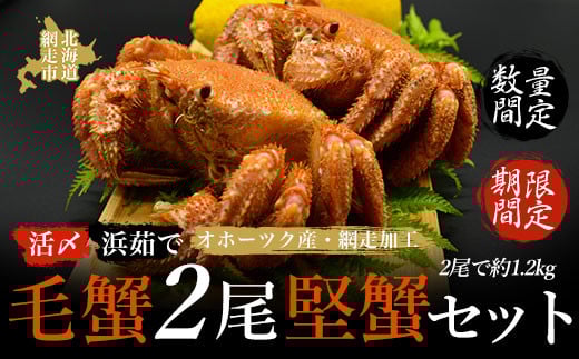 【期間限定・数量限定】美味活〆浜茹 で毛蟹2尾「堅蟹」セット(オホーツク海産・網走加工) 【 ふるさと納税 人気 おすすめ ランキング 毛がに 毛ガニ 毛蟹 カニ ガニ 蟹 堅蟹 海鮮 新鮮 かに味噌 カニ味噌 浜茹で 2尾 オホーツク 北海道 網走市 送料無料 】 ABAO2160