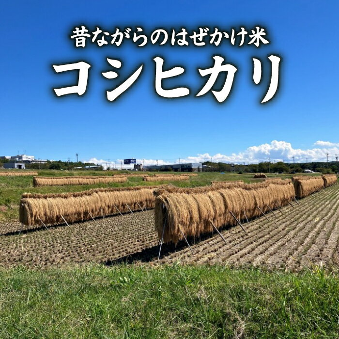 【ふるさと納税】昔ながらのはぜかけ米コシヒカリ　（令和8年産新米） 【ならはら農園】※2026年11月上旬以降発送予定