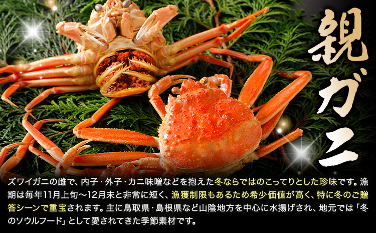 【ふるさと納税】カニ 親ガニ 訳あり 500g 活き 5杯 《12月上旬-12月末頃出荷》 SOO合同会社 鳥取県 八頭町 送料無料  蟹 かに 姿 鍋  訳アリ