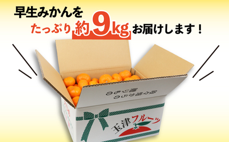 訳あり 早生 みかん 9kg 河野農園 温州みかん 早生みかん 早生温州 温州 蜜柑 mikan 愛媛みかん 愛媛蜜柑 愛媛ミカン 果物 くだもの フルーツ おすすめ 人気のみかん 訳アリ 訳あり品 