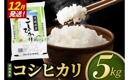 米 コシヒカリ 精米 5kg 令和8年産 茨城県産 お米 こめ コメ ごはん 白米 こしひかり 茨城県産米 単一米 単一原料米 安心 安全 送料無料 国産 人気 数量限定 （85-R8i025_12）