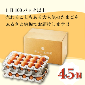 日の出たまご 45個  卵  三島ブランド たまご 