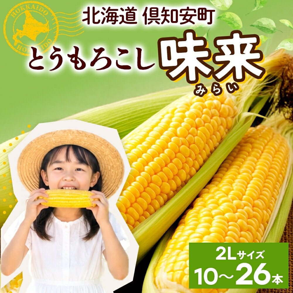【ふるさと納税】【2026年】北海道産 2Lサイズ 朝もぎ イエロー とうもろこし 味来 みらい 選べる本数 10本 13本 26本 大きめ とうきび 新鮮 スイートコーン 産地直送 グリーンアースファーム　お届け：2026年8月上旬～8月下旬