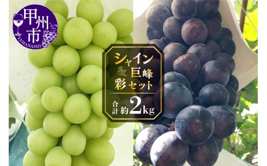 甲州屋厳選 シャイン＆巨峰の彩セット 約2kg【2026年発送】C-151 【シャインマスカット 巨峰 葡萄 ぶどう ブドウ 令和8年発送 期間限定 山梨県産 甲州市 フルーツ 果物】