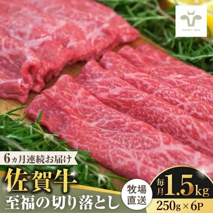【全6回定期便】佐賀牛至福の切り落とし 計9kg（250g×6袋×6回） / 佐賀県 / 有限会社佐賀セントラル牧場 [41ASAA027]