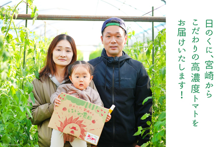 【期間限定発送】 訳あり トマト SUNすいーと 1kg×2箱 [にいな農園 宮崎県 日向市 452060917] 野菜 フルーツトマト 高糖度 甘い 不揃い 家庭用