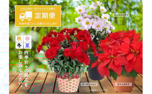 花卉（鉢花）定期便A