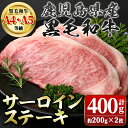 【ふるさと納税】＜A4～5等級＞鹿児島県産黒毛和牛サーロインステーキ(計約400g・約200g×2枚) 牛肉専門店自慢のお肉 鹿児島 国産 九州産 牛肉 黒毛和牛 和牛 霜降り しもふり サシ サーロイン ステーキ A4 A5 等級 ギフト 贈答【新村畜産】