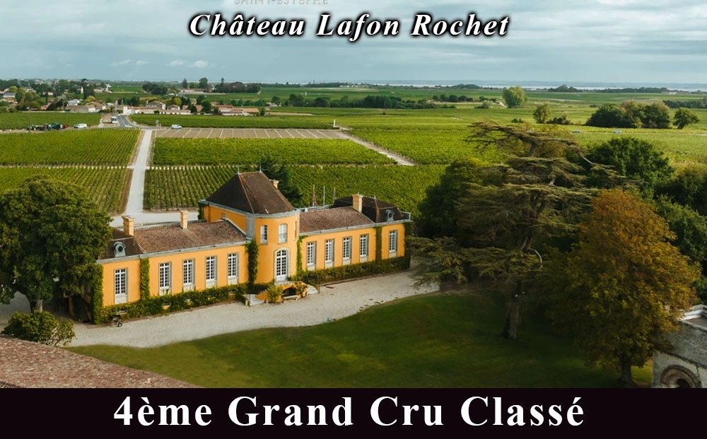 FD616 福智山ダム熟成 デカンタ金賞95ポイント 4GC6選-06