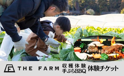 
THE FARMで収穫体験&採れたて新鮮野菜をBBQで食べる贅沢な食体験(2名様)【1422348】
