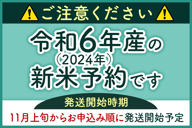 ※令和6年産 新米予約※《定期便12ヶ月》秋田県産 あきたこまち 6kg【白米】(2kg小分け袋) 2024年産 お届け時期選べる お届け周期調整可能 隔月に調整OK お米 おおもり