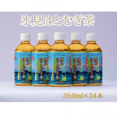 ふるさと納税 氷見市 氷見はとむぎ茶　ペットボトル350ml×24本
