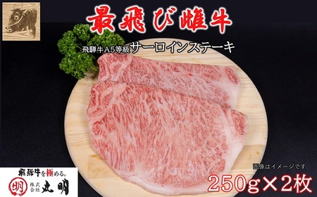 【最飛び雌牛】飛騨牛A5等級サーロインステーキ　250g×2枚【配送不可地域：離島】【1520149】