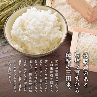 ふるさと納税 三田市 【毎月定期便】三田米コシヒカリ 精米 5kg 全12回 |  | 01