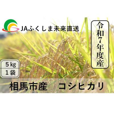 ふるさと納税 相馬市 令和7年度産JAふくしま未来　福島県産　コシヒカリ5kg