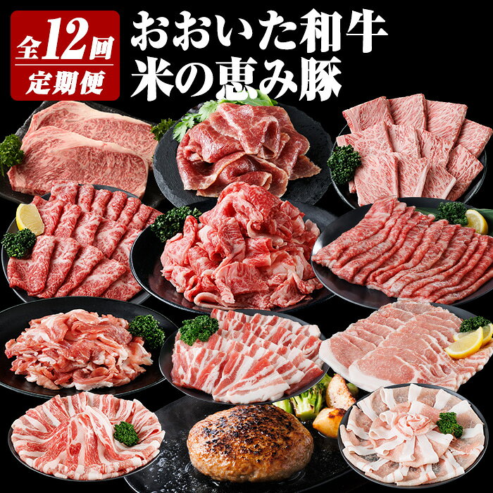 【ふるさと納税】おおいた和牛 米の恵み豚 定期便 (全12回) 牛肉 肉 冷凍 国産 和牛 小分け ブランド牛 豚肉 ハンバーグ しゃぶしゃぶ ステーキ 切り落とし 【optk006】【大分県畜産公社】
