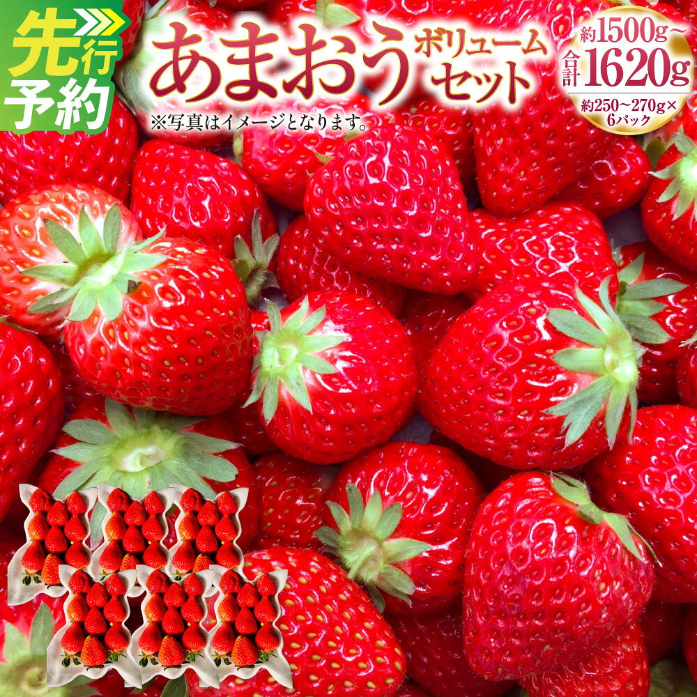 【ふるさと納税】あまおうボリュームセット 約250～270g×6パック 合計約1500～1620g あまおう G規格 いちご イチゴ 苺 ストロベリー ベリー フルーツ 果物 春 旬 九州 国産 福岡県産 送料無料【2027年2月上旬～4月下旬発送予定】