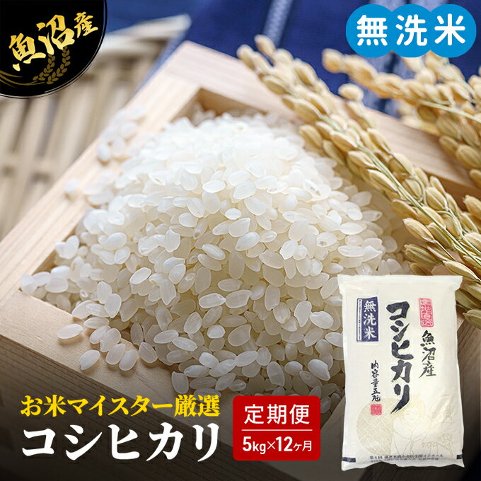 【ふるさと納税】無洗米 定期便 12ヶ月 コシヒカリ 5kg 米 白米 お米 魚沼産コシヒカリ 新潟米 新潟 魚沼市 定期 12回　お届け：寄附入金月の翌月より発送