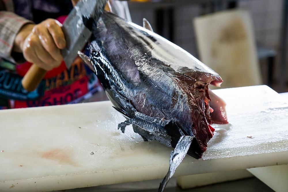 もちもち食感ビリかつお刺身300g