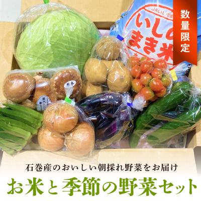 ふるさと納税 石巻市 &lt;数量限定&gt;石巻産 お米と季野菜セット 朝採れ 旬の野菜 季節の野菜 お野菜 詰め合わせ 食材 新鮮