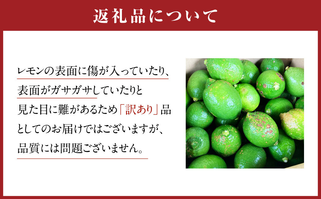 国産 レモン 訳あり C品 計約2.5kg（県認証特別栽培）