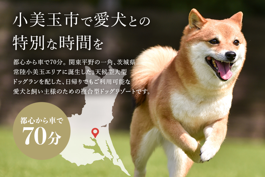グランデ プライベート ドッグリゾート常陸宿泊券 1,000円×5枚（平日限定） 72-A