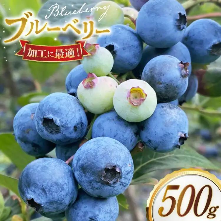 ブルーベリー 冷凍 250g 2パック 計 500g [いきつきブルーベリー園 moon berry's kitchen 長崎県 平戸市 hr42bhb500000]