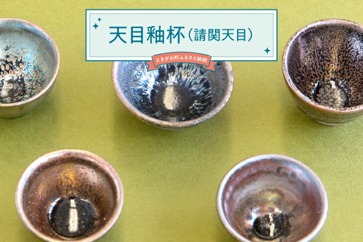 【ふるさと納税】天目釉杯（請関天目）