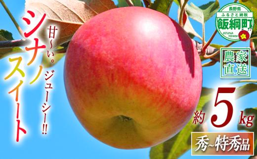 りんご シナノスイート 秀 ～ 特秀 5kg 丸山りんご園 沖縄県への配送不可 2026年10月上旬頃から2026年11月上旬頃まで順次発送予定 令和8年度収穫分 信州 果物 フルーツ リンゴ 林檎 長野 予約 農家直送 長野県 飯綱町 [0265]