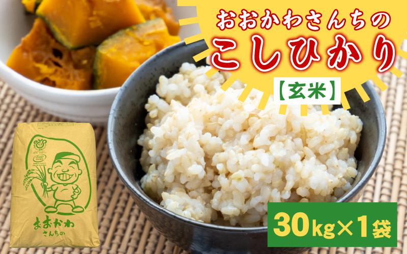 
                  【令和7年産】 おおかわさんちのコシヒカリ玄米 30kg 【コシヒカリ 米 おこめ 30キロ ブランド米 国産】 [F-10803]
                