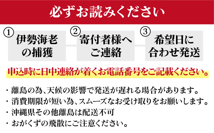 【限定数量】【五島列島の海の恵み】 特大 天然 活き 伊勢海老 1尾 1.1kg 【有川町漁業協同組合】 [RBH001]