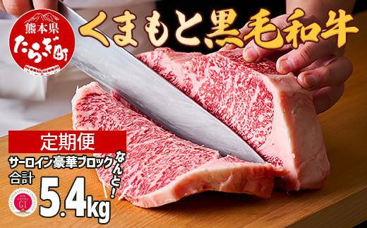 
【定期便 3回】くまもと黒毛和牛 サーロインステーキ 【豪華ブロック】約1.8kg×3回 隔月配送【 ブランド 牛肉 ステーキ 大容量 熊本県産 熊本 サーロイン 霜降り 肉 高級 黒毛和牛 和牛 】100-0004
