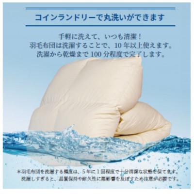 ふるさと納税 広川町 シュラフ×ダウンケット×ボルスタークッション3WAY寝袋 ダウン85% 0.3kg使用 ライトタイプ |  | 03