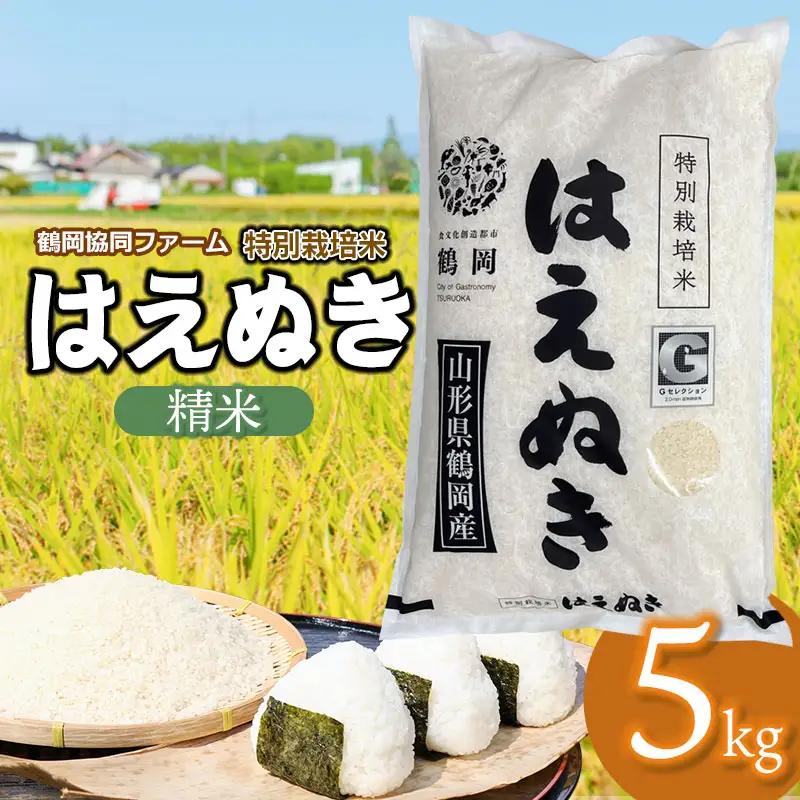【令和7年産】 特別栽培米はえぬき　精米5kg　(5kg×1袋)　山形県鶴岡産　鶴岡協同ファーム