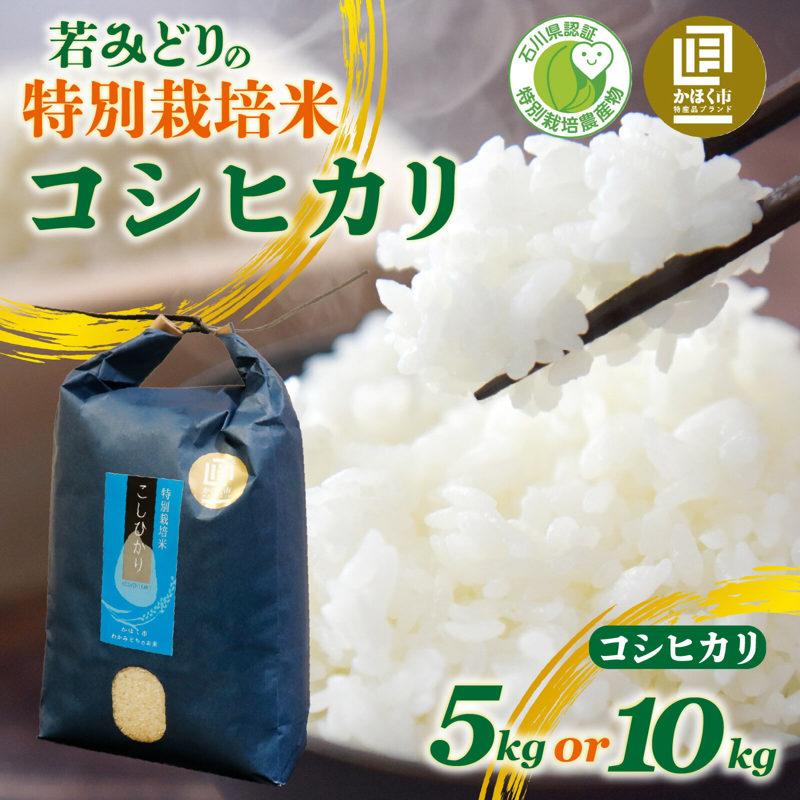 【ふるさと納税】 若みどりの こしひかり 5kg ～ 10kg / コシヒカリ お米 米 こめ コメ 白米 ご飯 5キロ 10キロ 若緑産 特別栽培米令和7年産 単一原料米 国産 食品 常温 お取り寄せ 送料無料