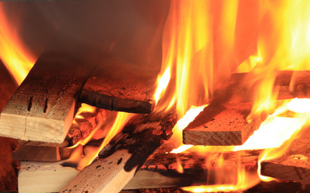 【ザ・芋喰屋】 材木屋さんの石焼き芋　約2kg