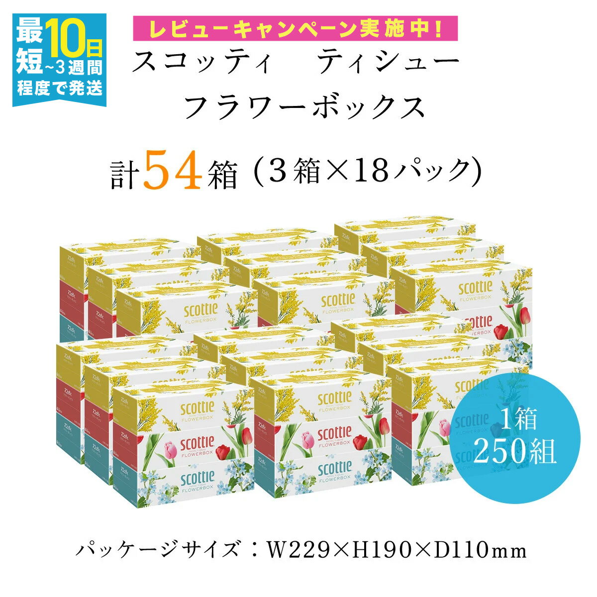 【ふるさと納税】 【選べる配送月】スコッティ ティシュー フラワーボックス 250組 54箱 (1ケース3箱×18パック) ボックスティッシュ 箱 ティッシュ ティシュー 長持ち リピート 高品質 素敵 保管 クレシア ティッシュペーパー 日用品 生活必需品 まとめ買い 京都府 FCAS003