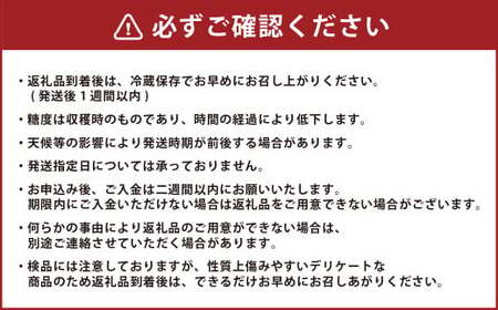朝採りとうもろこし 恵味ゴールド 10本入り 【2026年7月上旬～8月上旬発送予定】