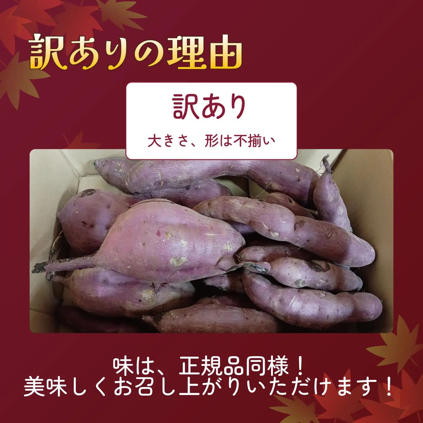 先行予約 さつまいも 訳あり 紅はるか 4.5kg さつまいも