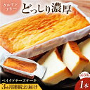 【ふるさと納税】【全3回定期便】ベイクドチーズケーキ(630g)×1本 けーき 贅沢 スイーツ お土産 横須賀【マーロウ】[AKAF074]