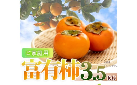 
            ［ご家庭用わけあり］和歌山秋の味覚　富有柿　約3．５ｋｇ　「2026年11月上旬以降発送予定」［UT51］
          