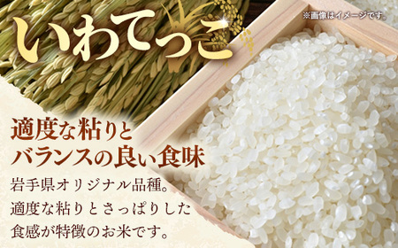 令和7年産 お米 精米 いわてっこ 5kg ブランド米 岩手町産